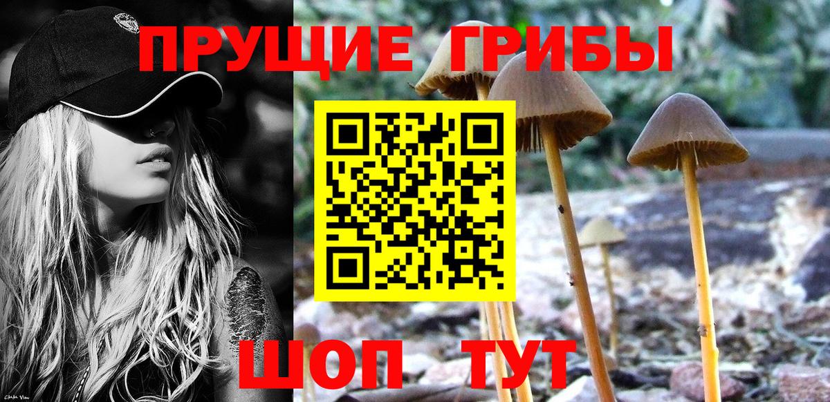 Галлюциногенные грибы мицелий Краснодар