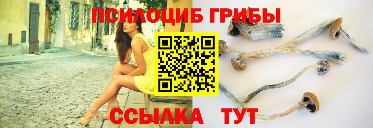 Краснодар  Галлюциногенные грибы прущие грибы  Вход с VPN  Псилоцибиновые грибы Cubensis 